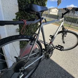 Diamond Back Outlook