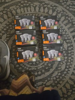 75 WATT Feit Electric LED Bulbs