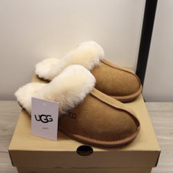 Uggs scuffette chestnut Color Size 9 Women’s