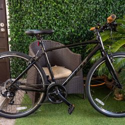 Giant Medium Frame 