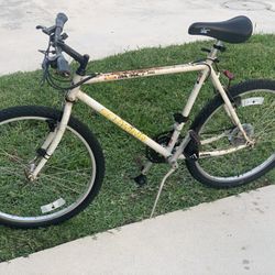 Men’s Bicycle, Tandem Bicycle & Razor Bundle. Get All 3 ✔️