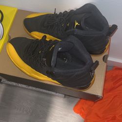 Jordan 12 University Gold