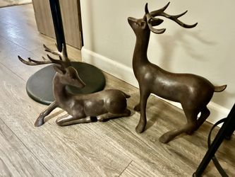 $20 2 big deers 93312