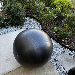 Workout Ball 