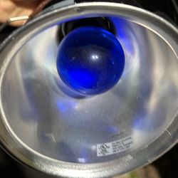 Have Two Heating Lamps 