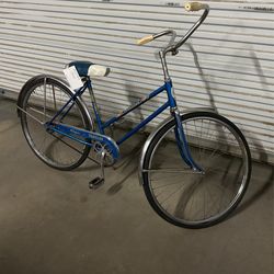 Schwinn  Traveler 