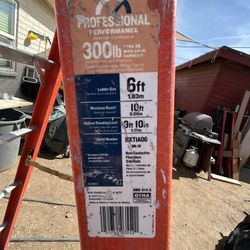 6 foot ladder