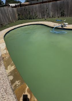 Pool Green One Time Clean Free Estimate 