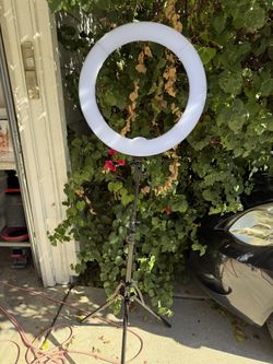 Professional Ring Light 