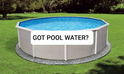 Pool Water