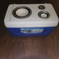 Home Made Bluetooth Coolers 