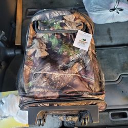 Cooler Bag On Wheels 