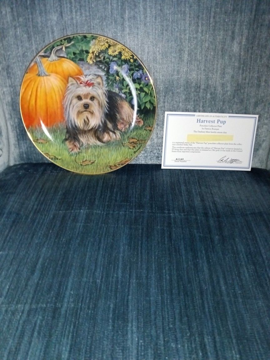 Harvest Pup Pumpkin And Yorkie Collector Plate By Patricia Bourque