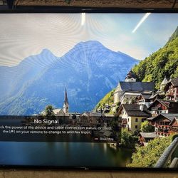 65 Inch LG TV 