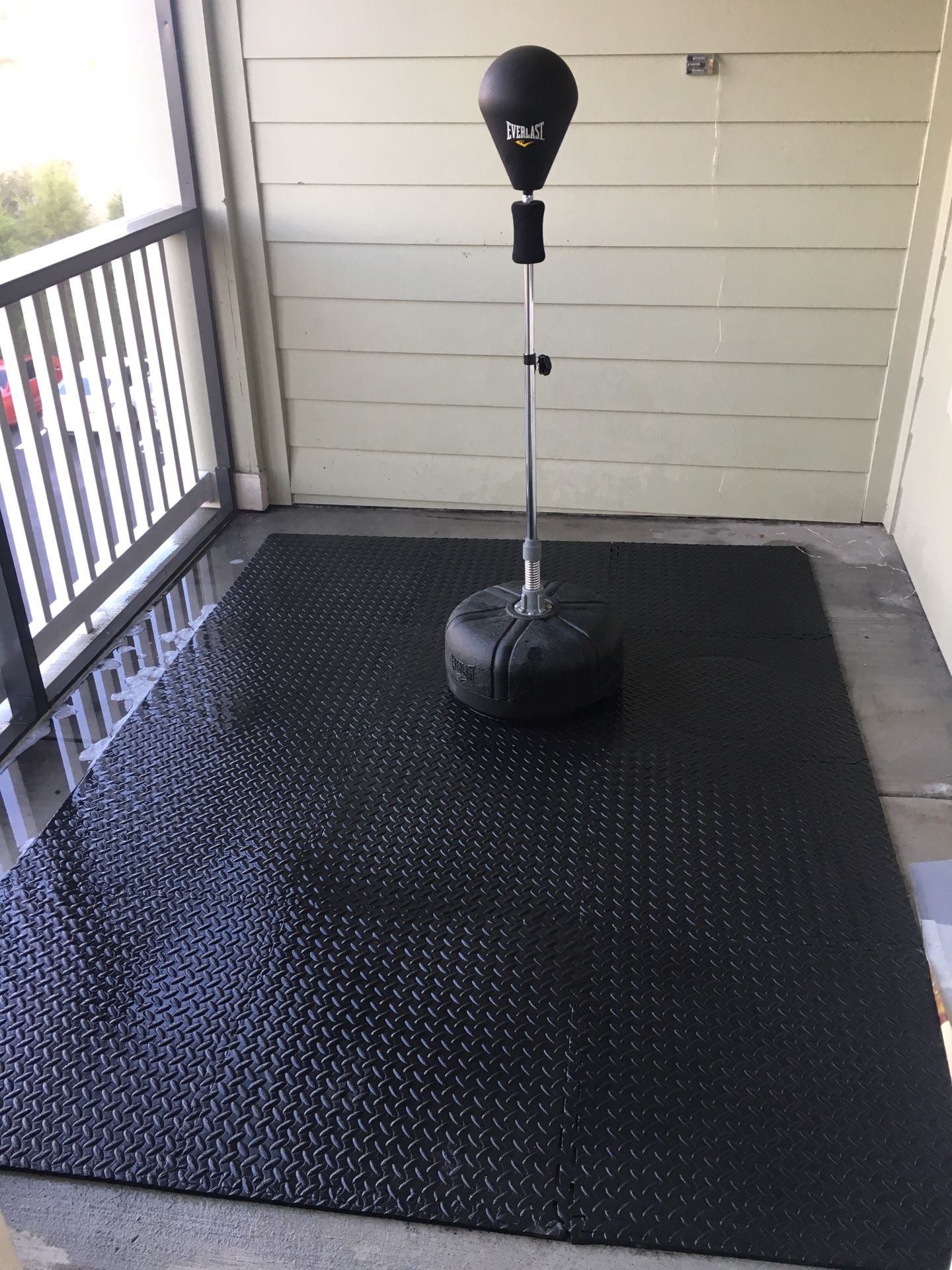 Everlast Reflex Speed Bag and Gym May Set (12 Tiles)