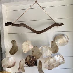 SHELL WINDCHIME 