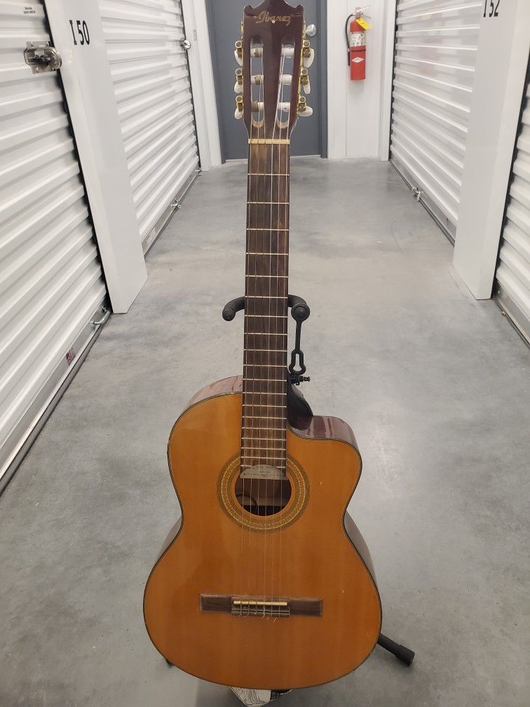 Ibanez Guitar