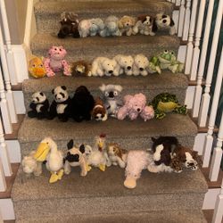 Webkinz Lot Assortment