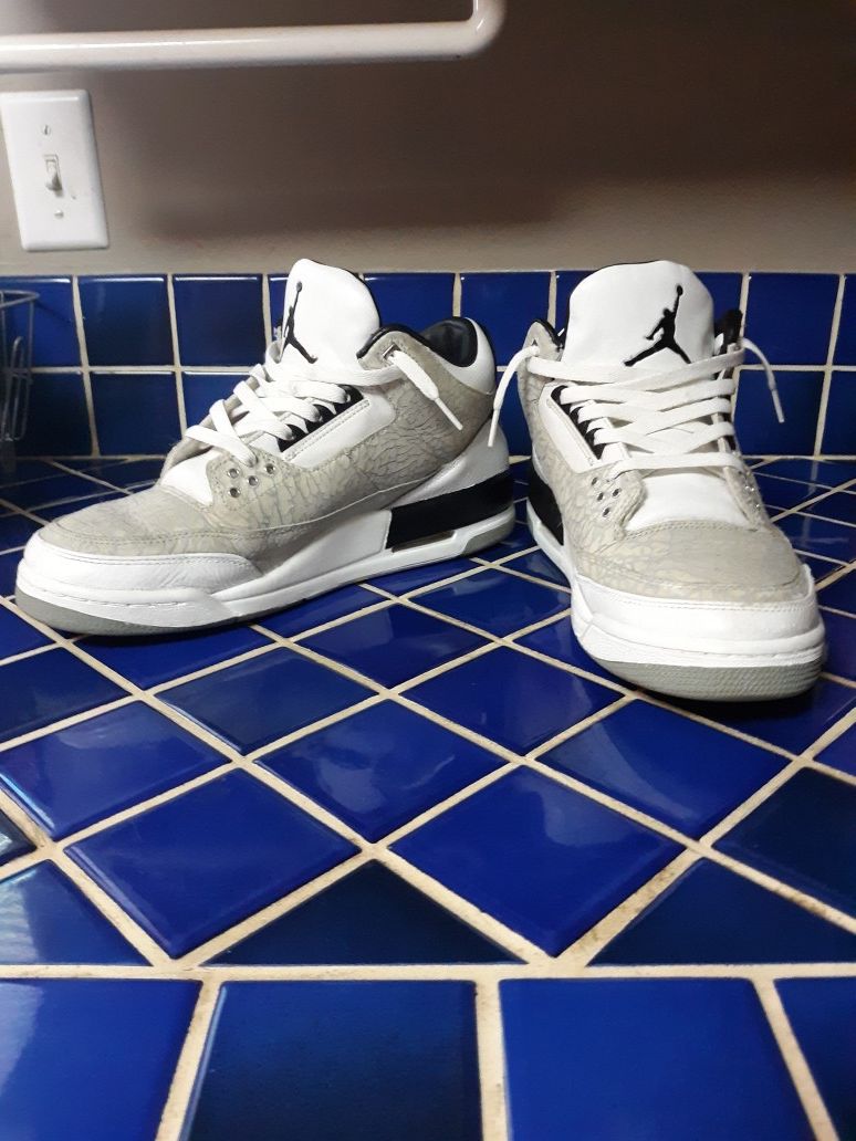 Jordan 3 retro flips custom