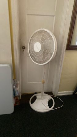 Fan