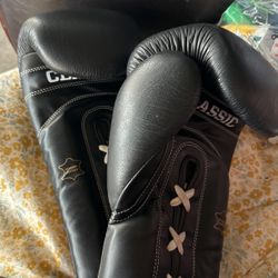 Title Classic Boxing Cloves