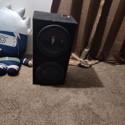 2 12 Inch Subwoofers
