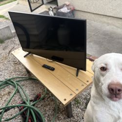 Samsung  43” Tv (Dog Not Included)