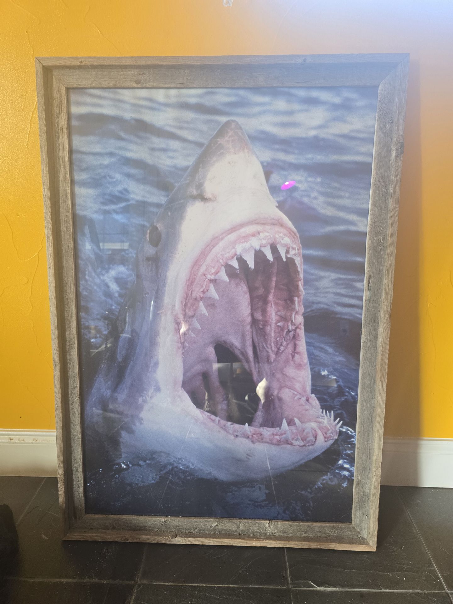 Large framed great white print
