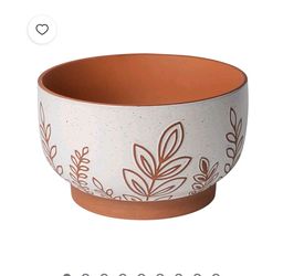 Terracotta Planter with Leaf Design