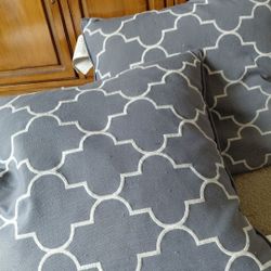 2 Free Sofa Pillows Is Still Available No Messages Afyer 8pm