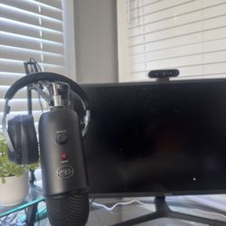 Headset, Microphone , Webcam, Monitor 