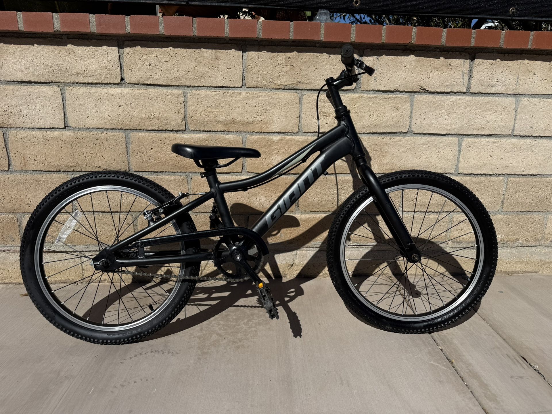 Giant XTC Bike Kids BMX Bicycle 20”