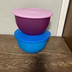 Tupperware Each 