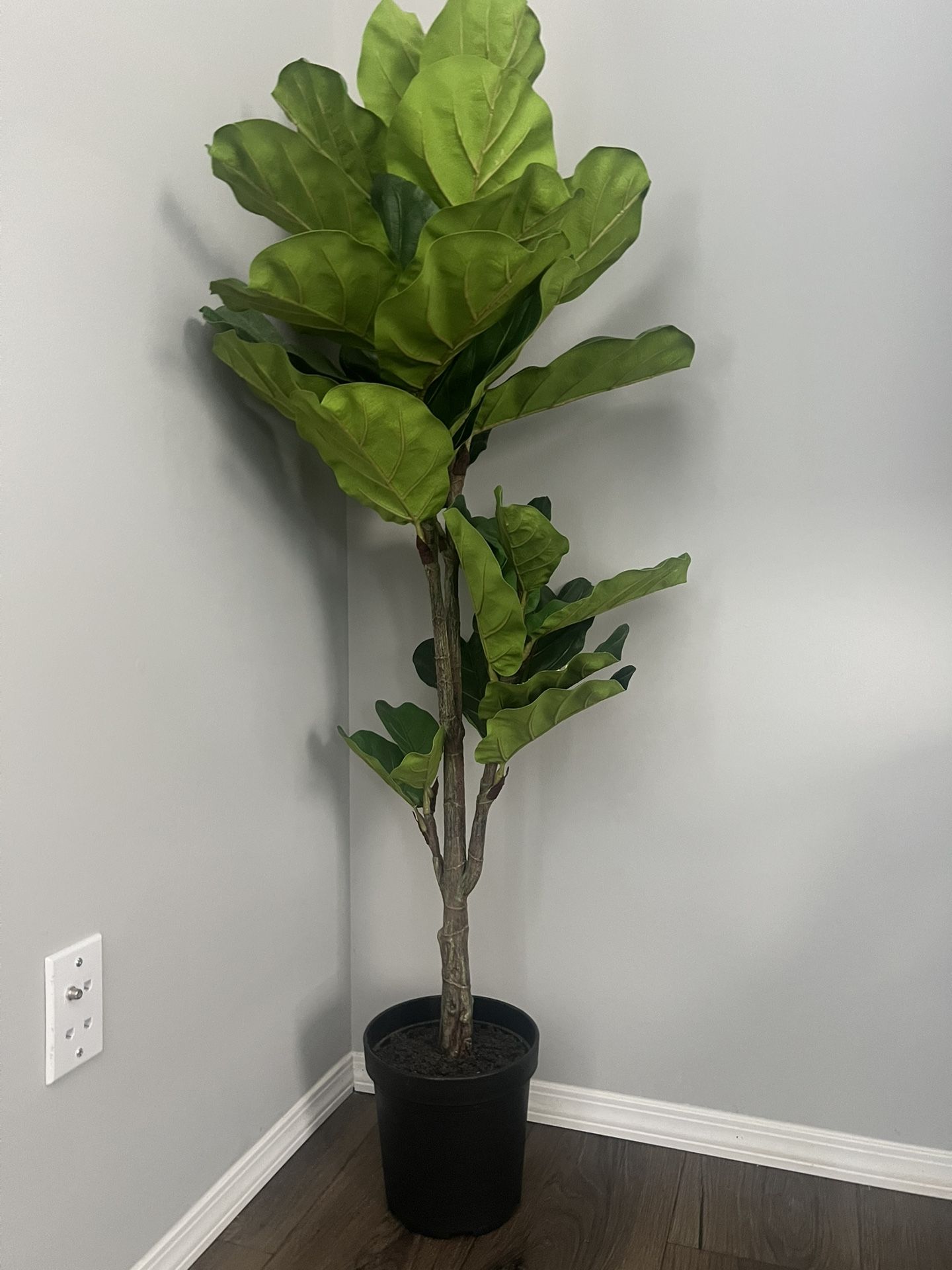 Plastic House Plant
