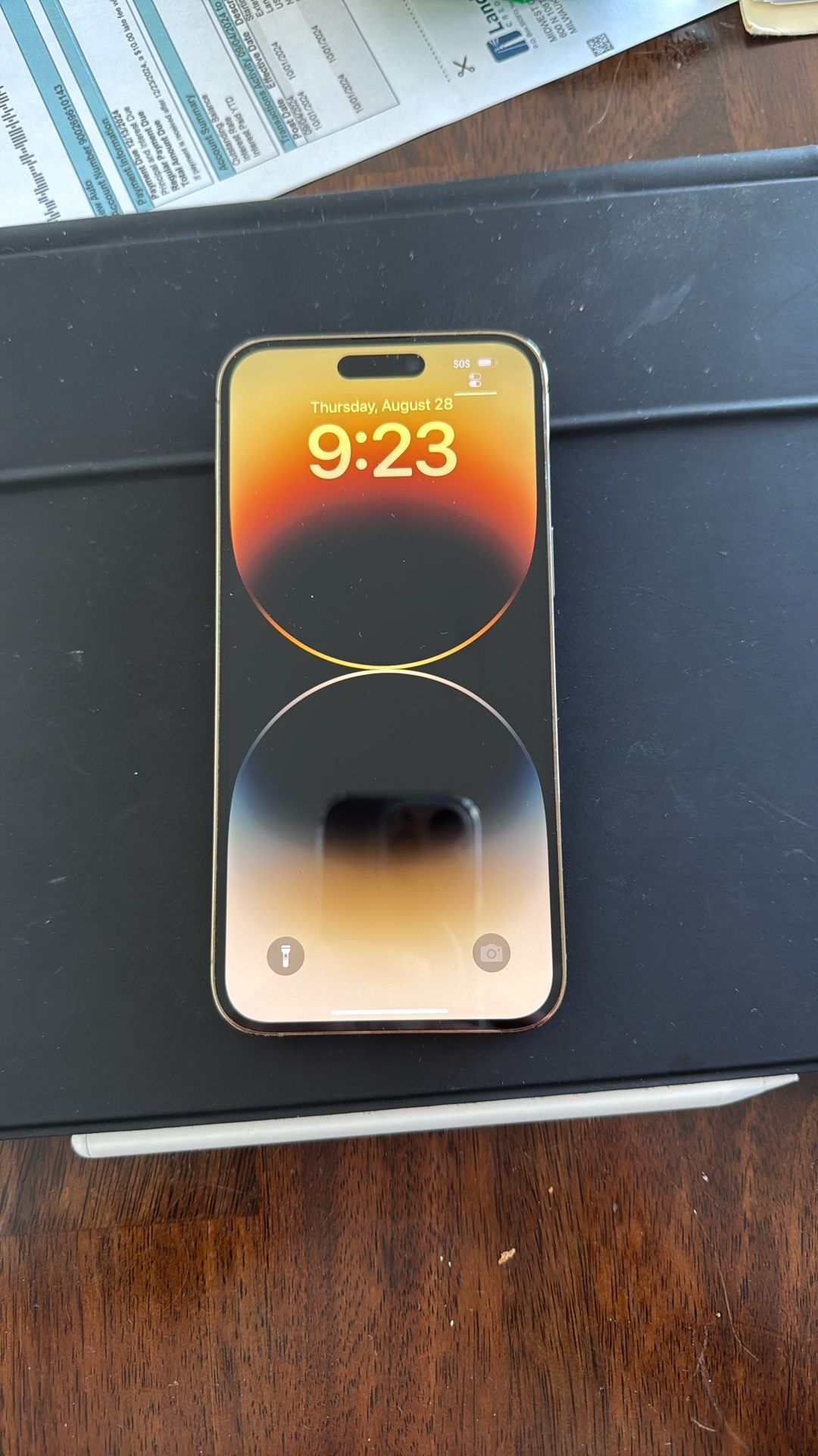 iPhone Pro Max 256GB Unlocked
