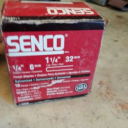 1 1/4 Senco Staples New Box
