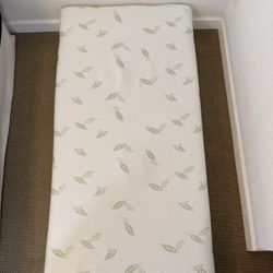 Single Size Mattress with Mattress Protector