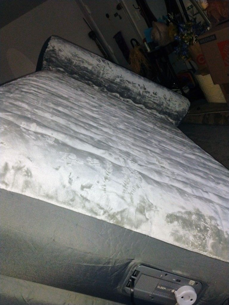 Queen Air Bed Build In Pump Pickup Only Cash