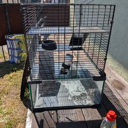 Guinea pig cage