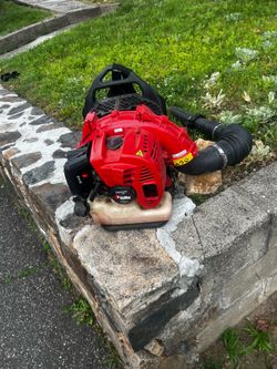 Redmax Ebz5100 backpack Leaf blower