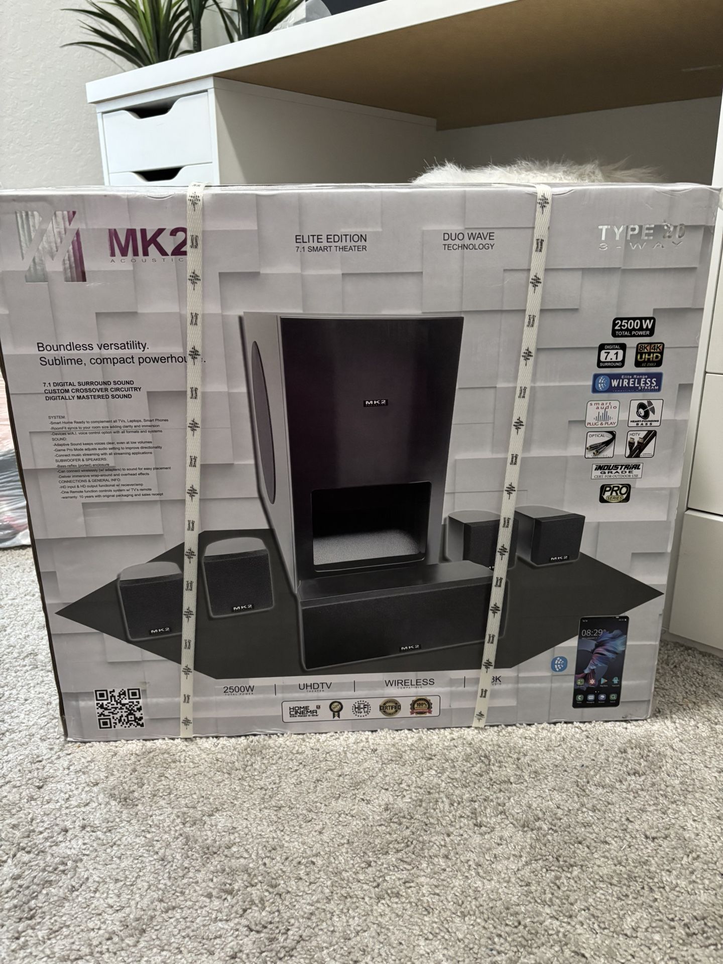 Surround Sound Speakers