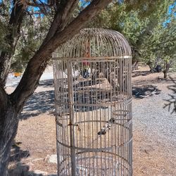 White Large Metal Bird Parrot Victorian Cage