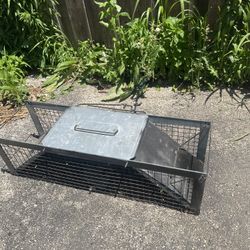 Animal Trap
