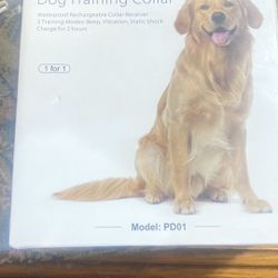 Dog Trainer Collar
