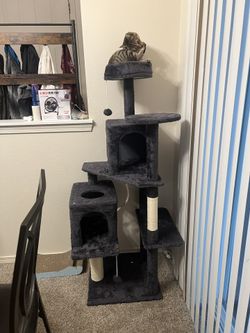 Cat Tree
