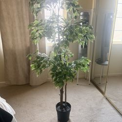 IKEA FEJKA Artificial potted plant, indoor/outdoor Weeping fig, 8 ¼ "