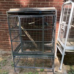 Bird Cages