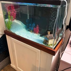 Fish tank setup