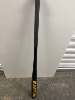 Easton Fungo bat