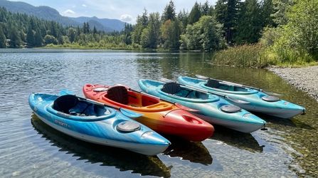 3 Pelican & 1 Perception  Kayaks